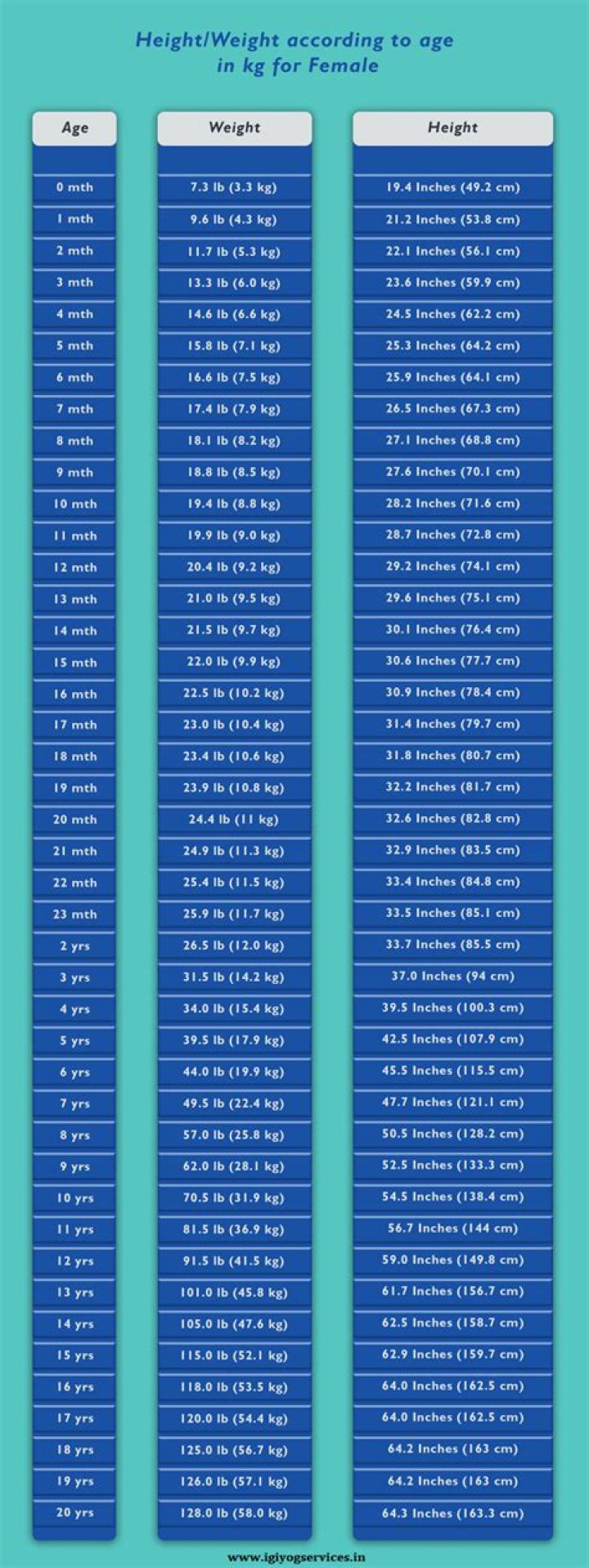 A Comprehensive Dive Into Age, Height, Weight, And Biography