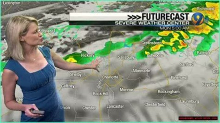 Leigh Brock Wiki, Age, Married, Engaged, Salary, Height (Meteorologist) ·