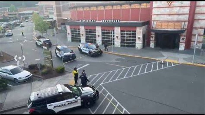 Police Respond to Possible Shooting at Westfield Southcenter Mall in Tukwila